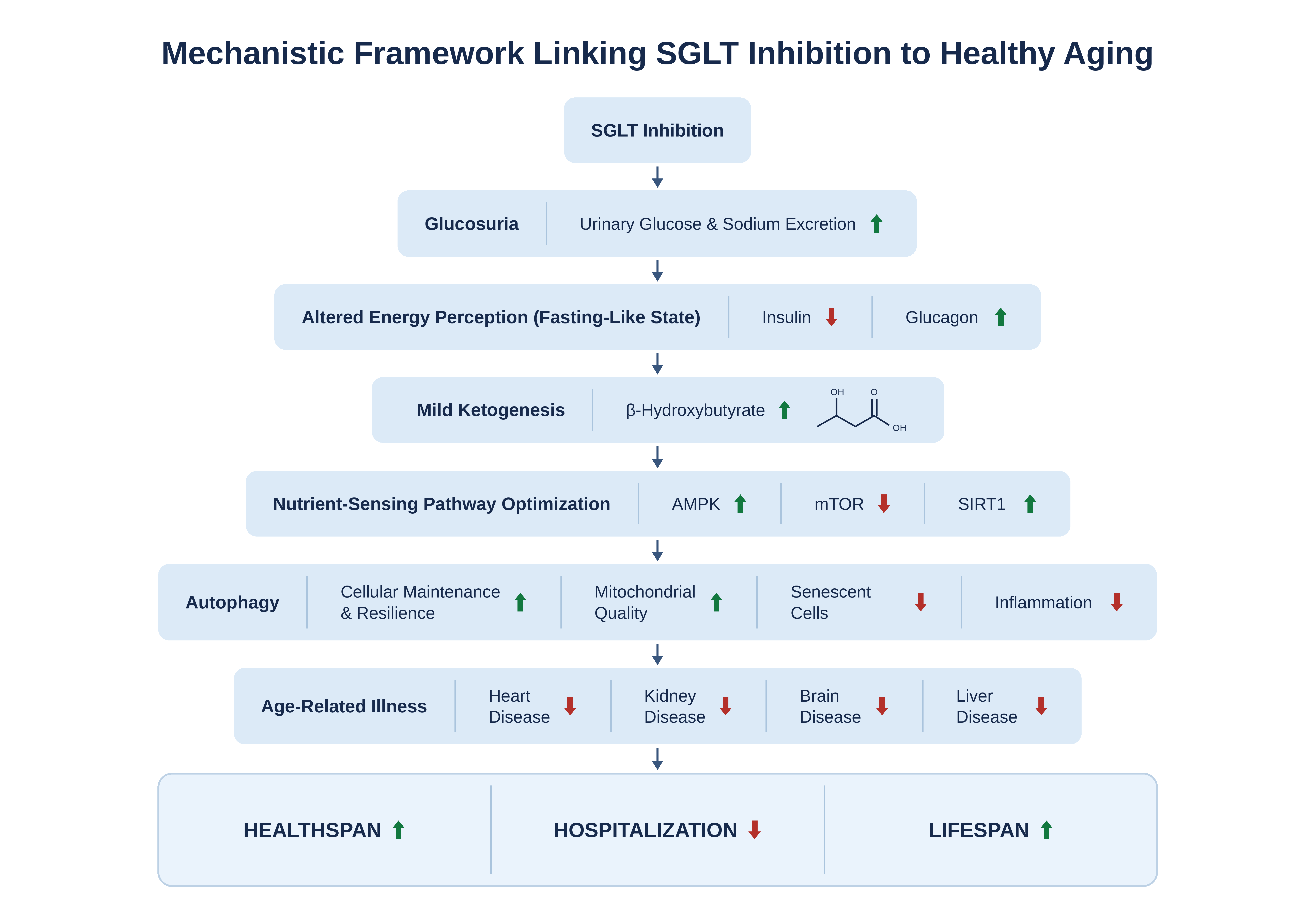 SGLT inhibitors as geroprotectors