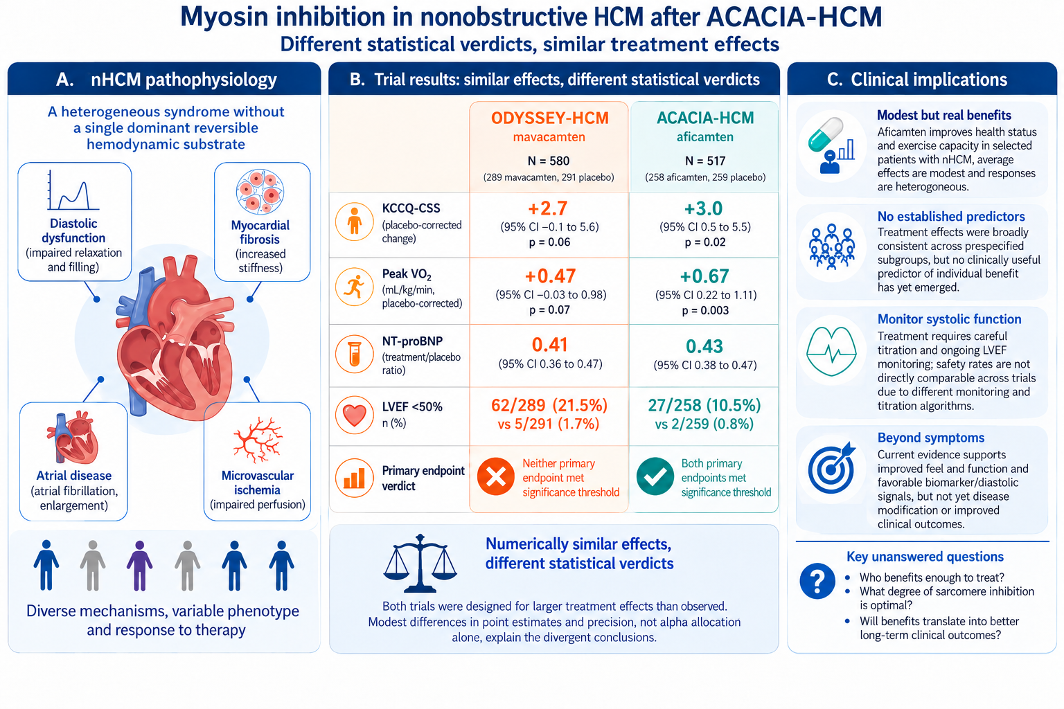 Myosin Inhibition in Nonobstructive Hypertrophic Cardiomyopathy After ACACIA-HCM