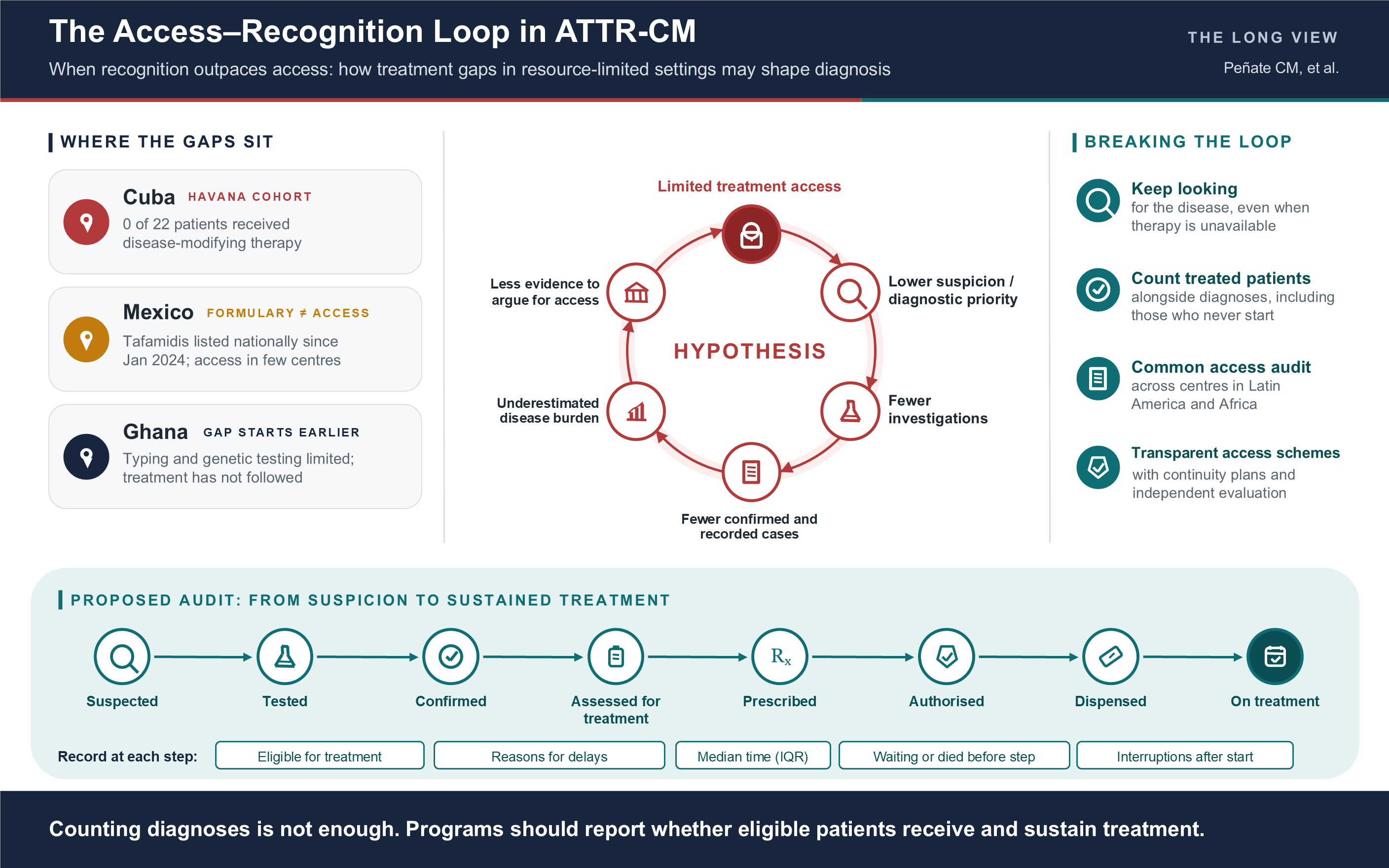 Where the treatment gaps in ATTR-CM sit in the developing world; the hypothesized loop from limited treatment access to lower suspicion, fewer recorded cases and less evidence for access; four ways to break it; and the need to increase access to life-saving therapies around the world